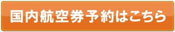 国内格安航空券予約